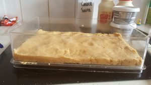 Cheesecake base in the Delicake Rectangle Master - this time the right way around