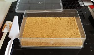 Cheesecake base in the Delicake Rectangle Master